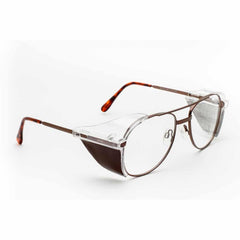 Radiation Glasses Model 100