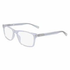 Radiation Glasses Nike 7246
