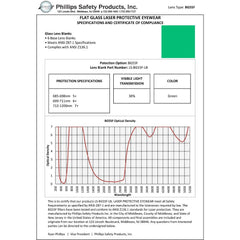 BG55F Flat Glass Goggle