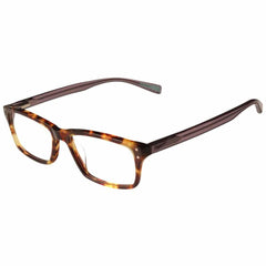 Radiation Glasses Nike 7242