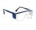 Radiation Glasses Model 250