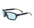 GlobalVisionRX IFrame